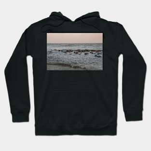 Group of turnstone birds on rocks along the shore Hoodie